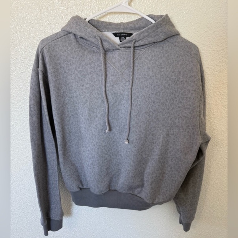 American Eagle Hoodie Size Small